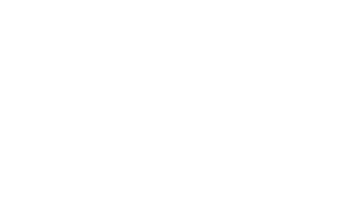 Fraternite-Victoire-Lille
