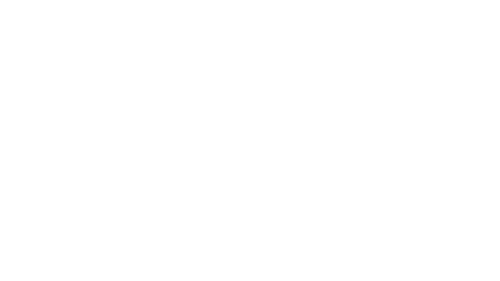Fraternite-Victoire-Lyon-blanc
